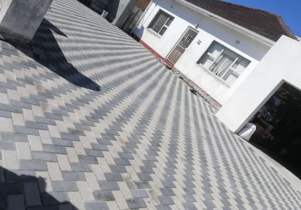 WhatsApp Image 2023-11-21 at 12.20.50